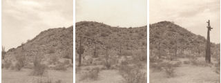 Sonoran Desert National Monument Landscape-Click for a larger image